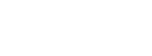 Newton Ventures Logo